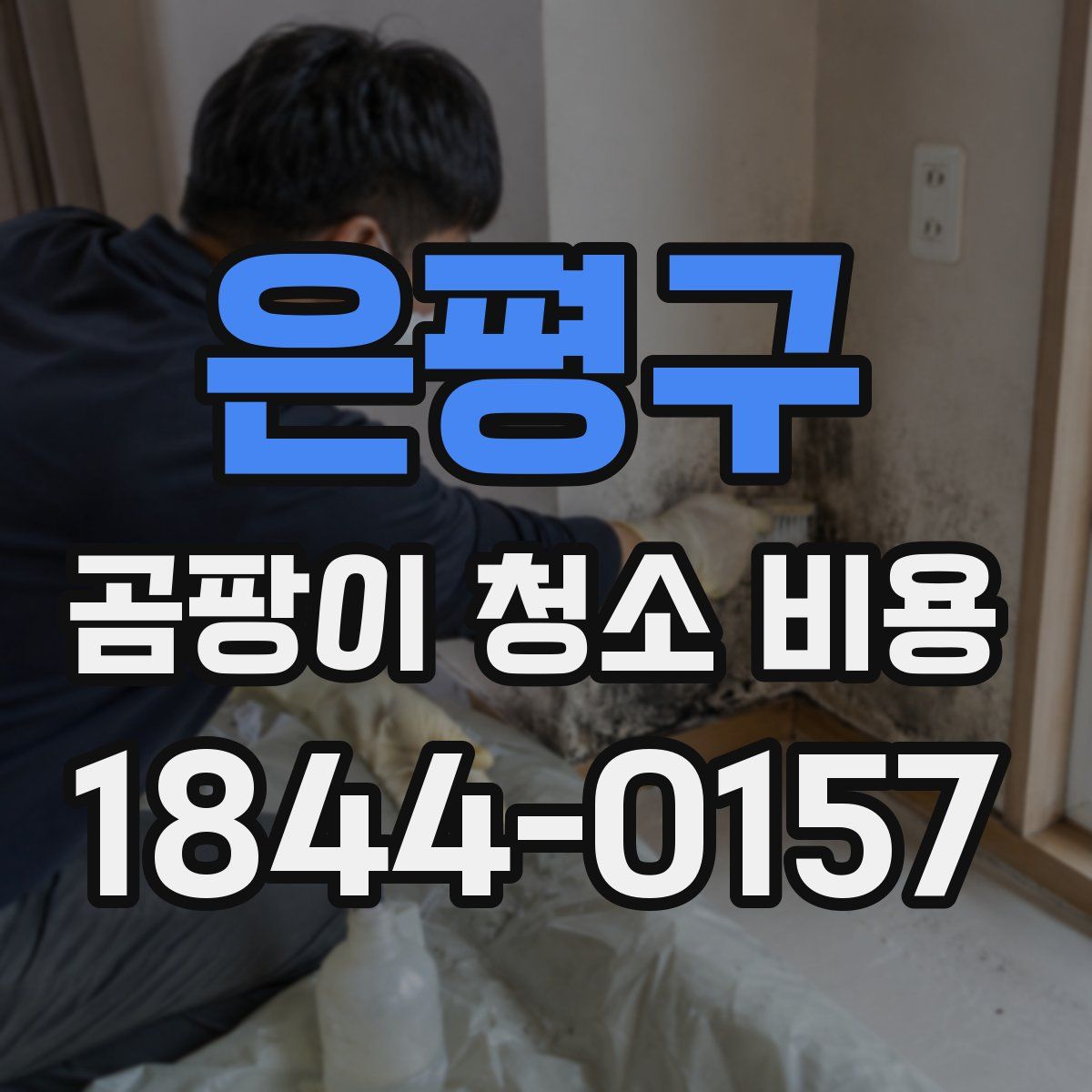 은평구 곰팡이 청소 비용