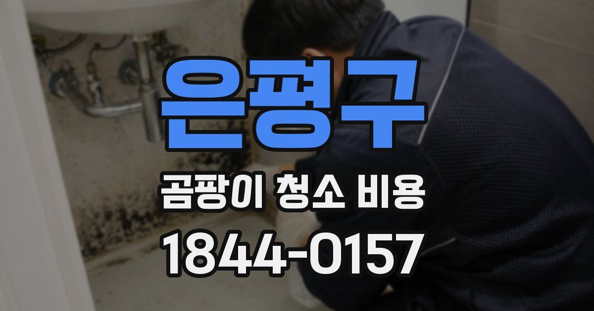 은평구 곰팡이 청소 비용