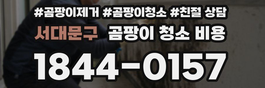 서대문구 곰팡이 청소 비용