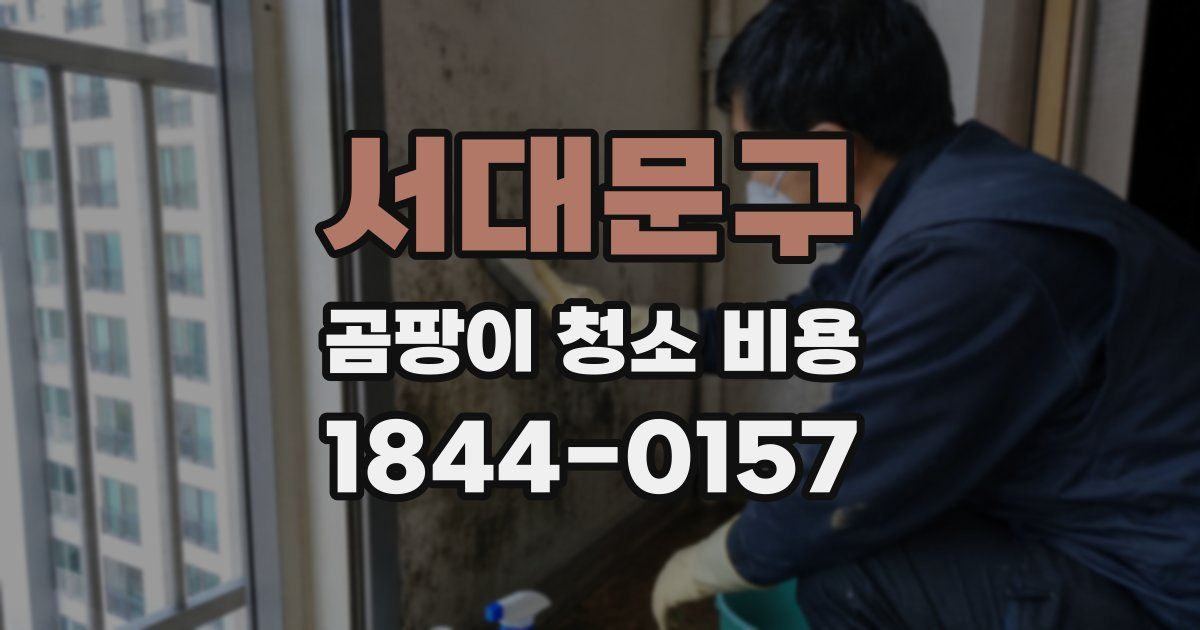 서대문구 곰팡이 청소 비용