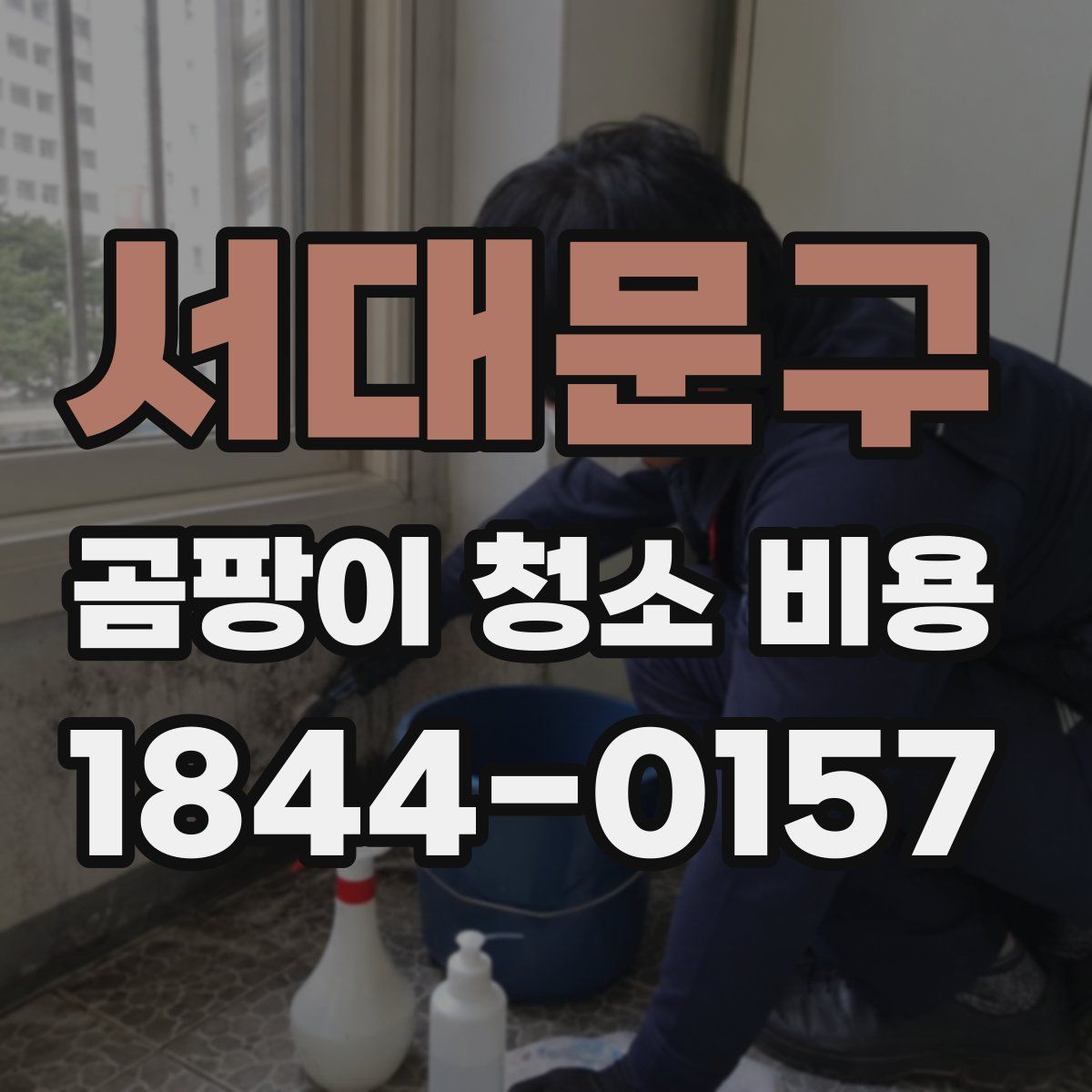 서대문구 곰팡이 청소 비용