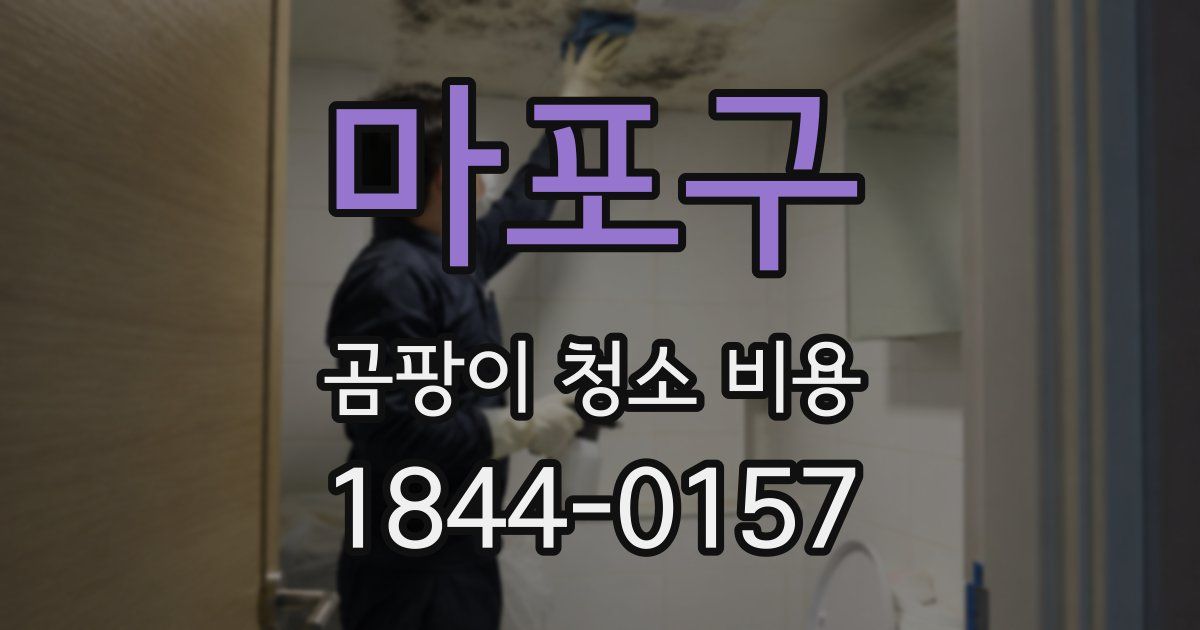 마포구 곰팡이 청소 비용