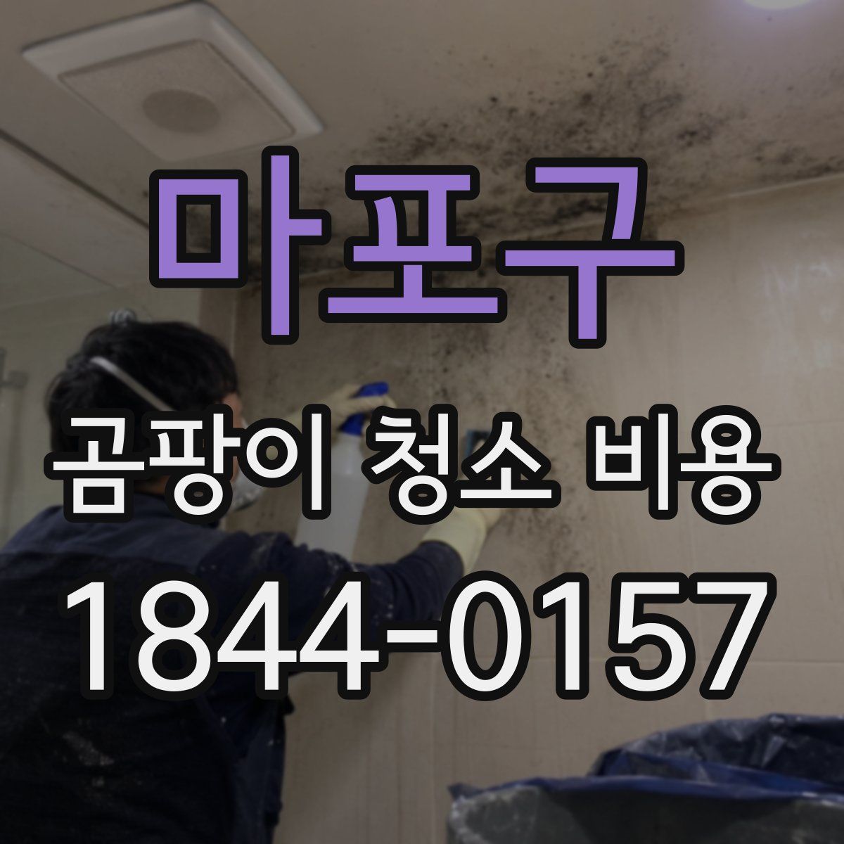 마포구 곰팡이 청소 비용