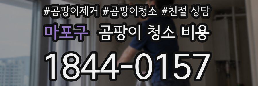 마포구 곰팡이 청소 비용