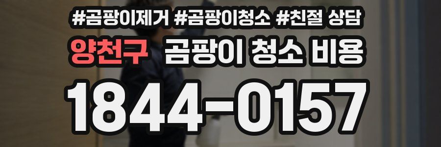 양천구 곰팡이 청소 비용