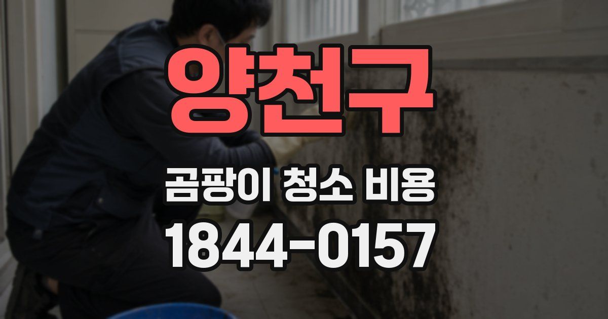 양천구 곰팡이 청소 비용