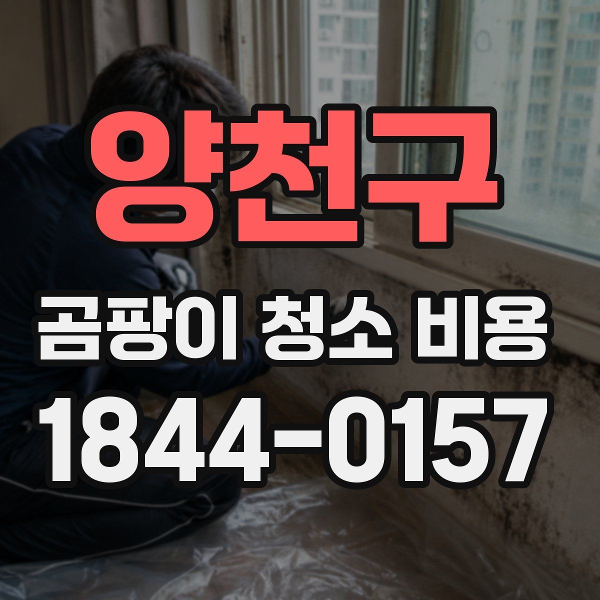 양천구 곰팡이 청소 비용