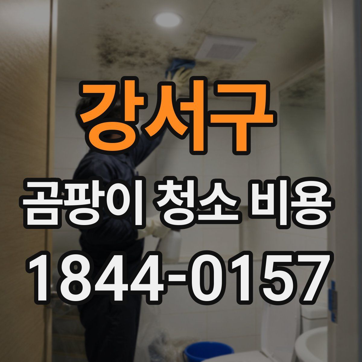 강서구 곰팡이 청소 비용