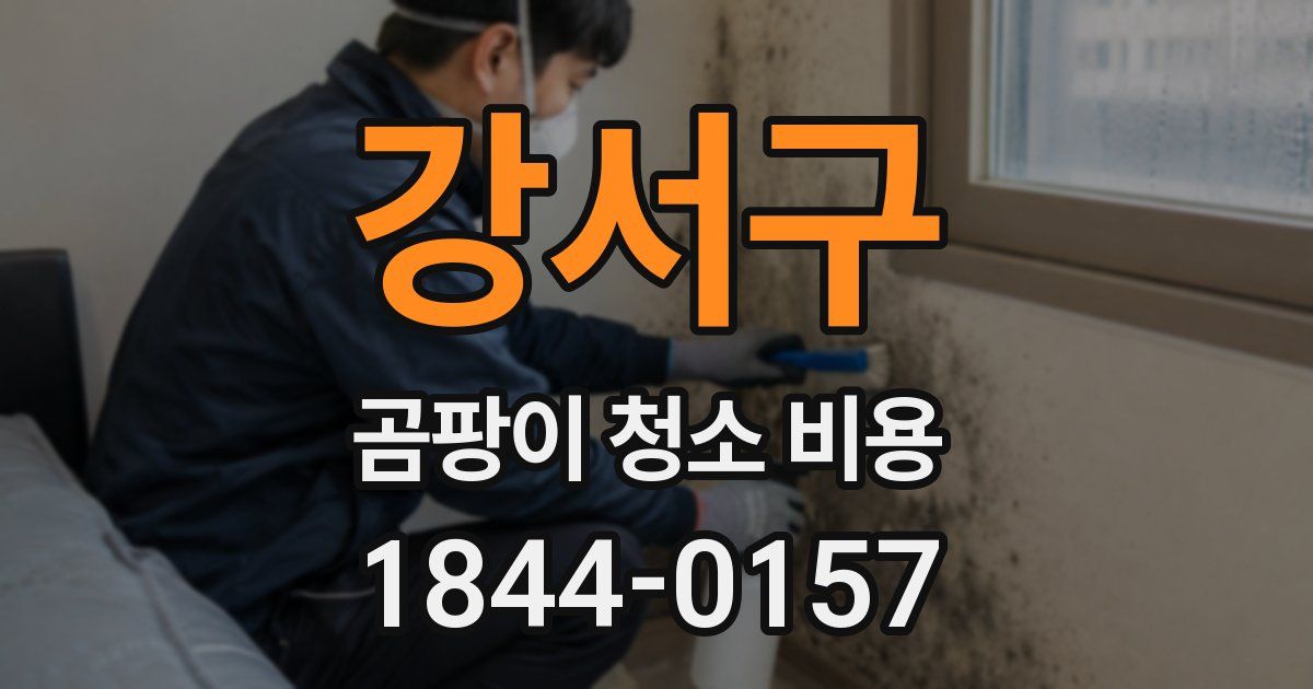 강서구 곰팡이 청소 비용