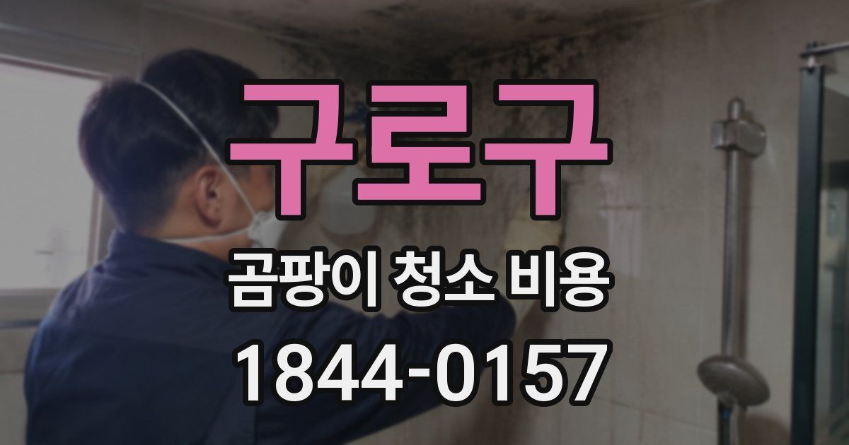 구로구 곰팡이 청소 비용
