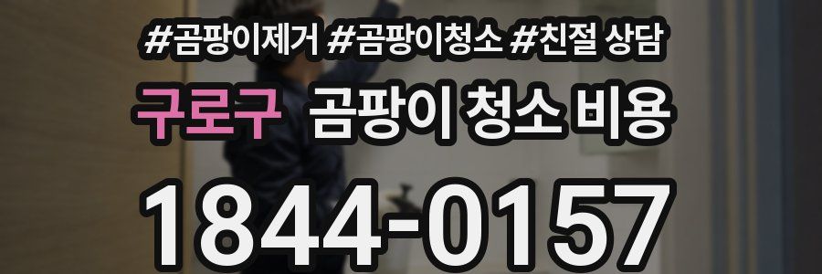 구로구 곰팡이 청소 비용