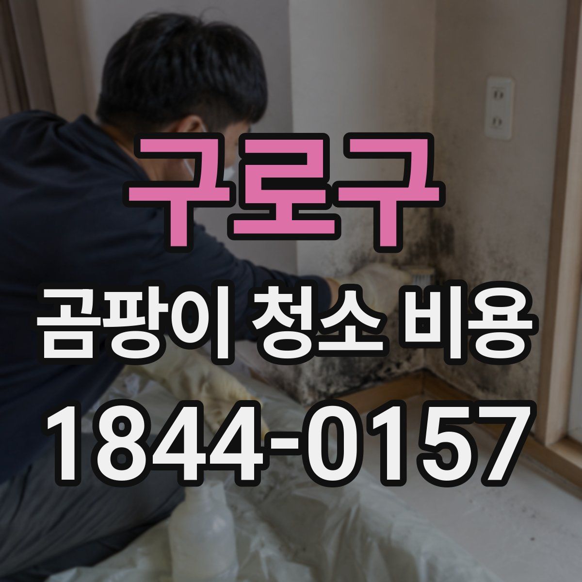 구로구 곰팡이 청소 비용