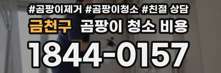 금천구 곰팡이 청소 비용