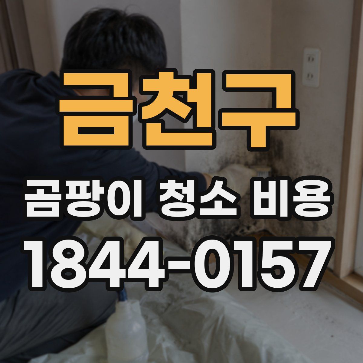 금천구 곰팡이 청소 비용