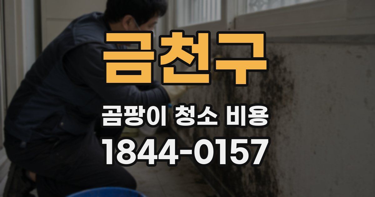금천구 곰팡이 청소 비용