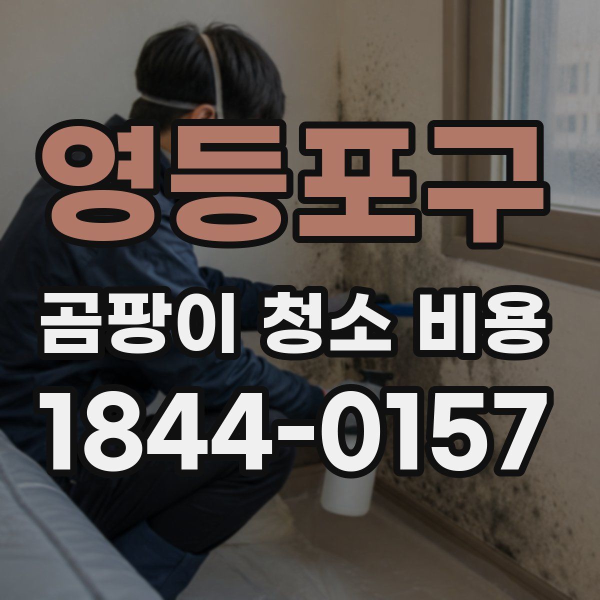 영등포구 곰팡이 청소 비용