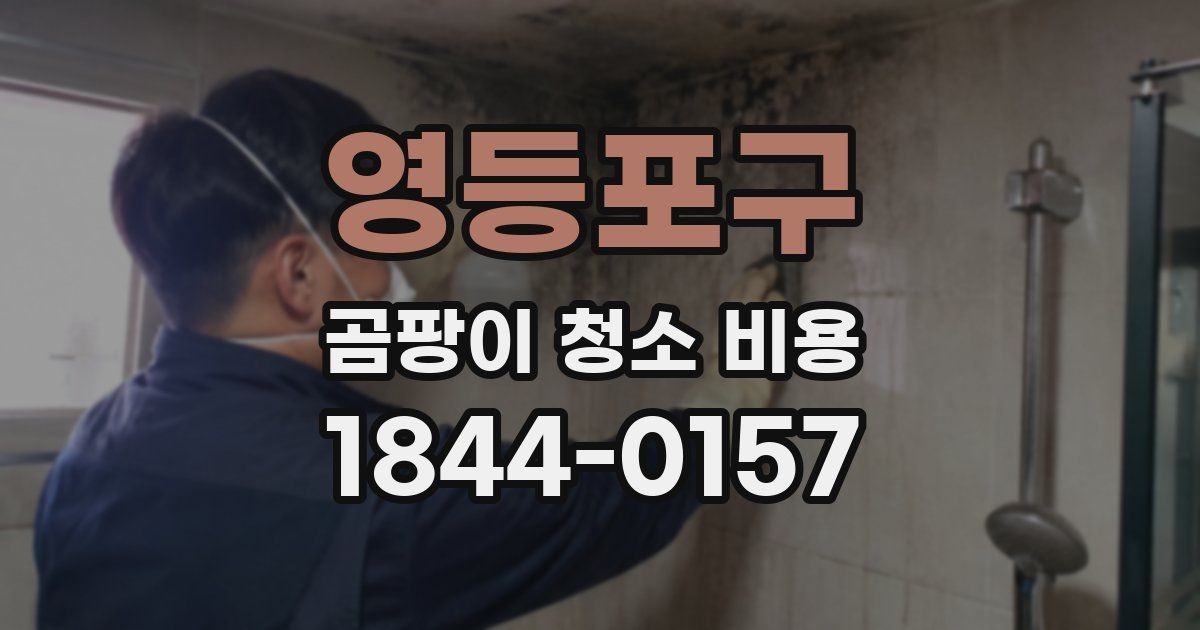 영등포구 곰팡이 청소 비용