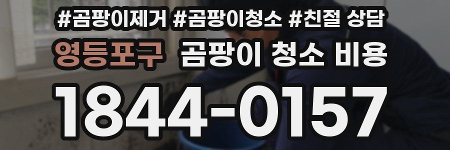 영등포구 곰팡이 청소 비용