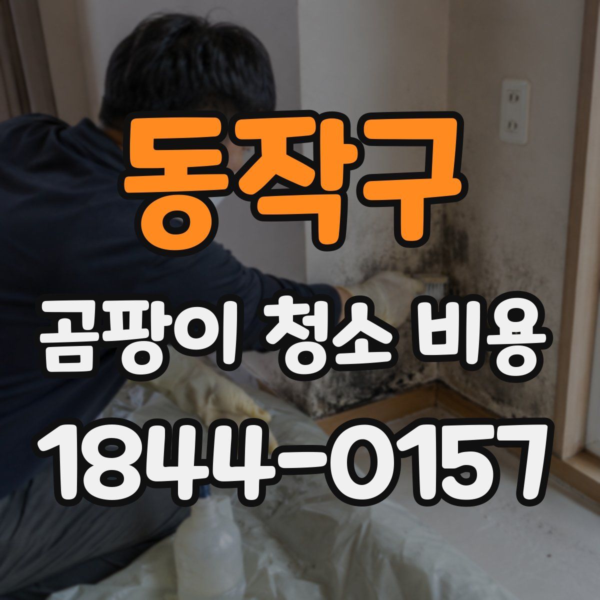 동작구 곰팡이 청소 비용