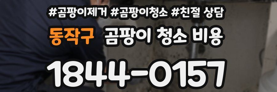 동작구 곰팡이 청소 비용