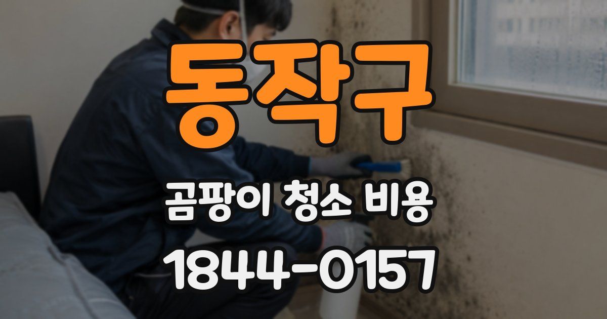동작구 곰팡이 청소 비용