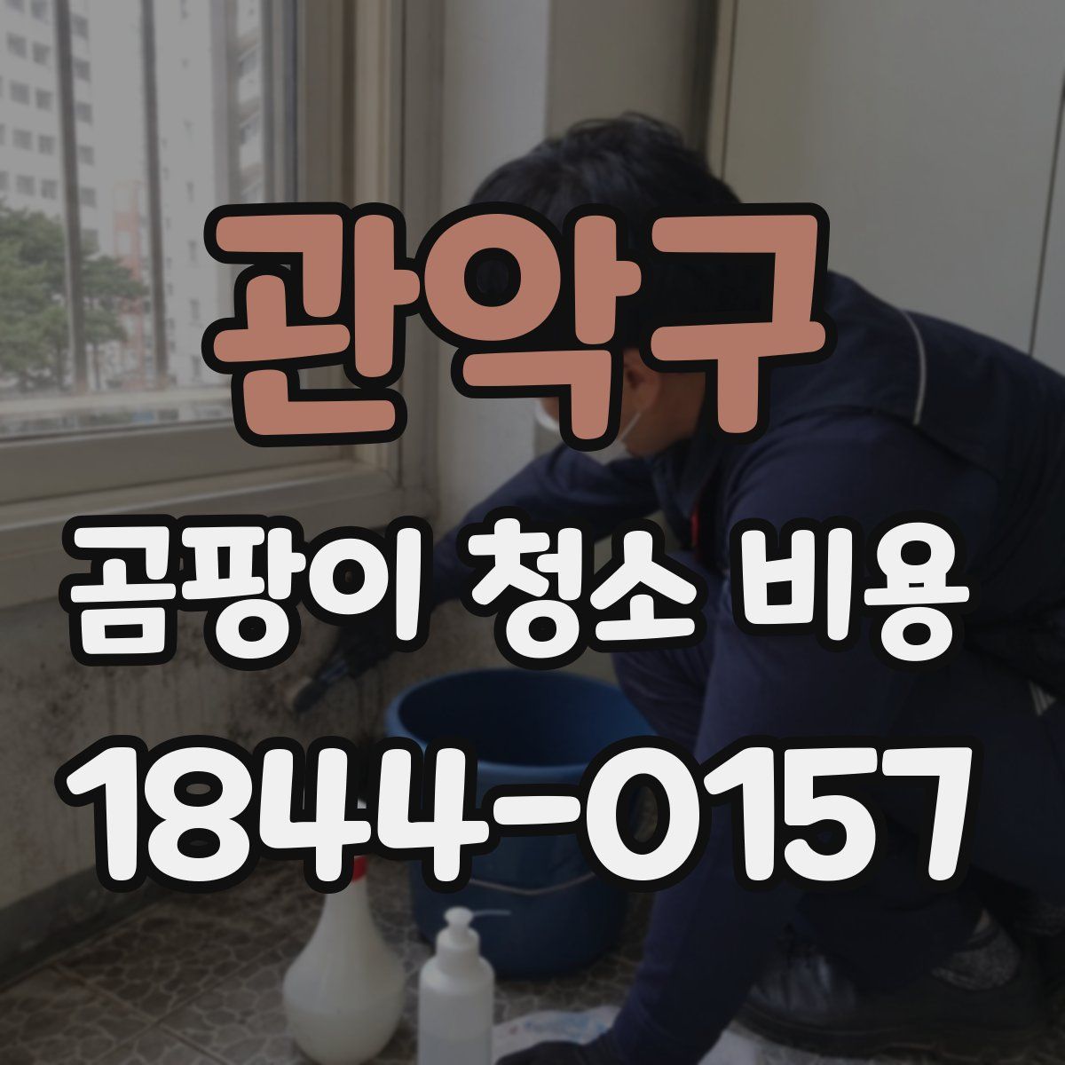 관악구 곰팡이 청소 비용