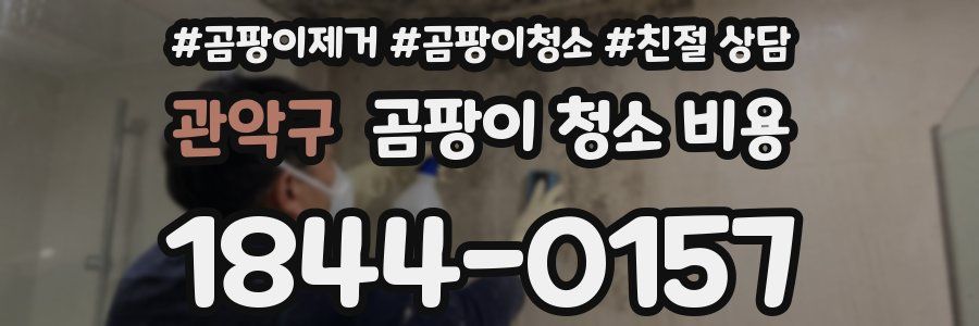 관악구 곰팡이 청소 비용