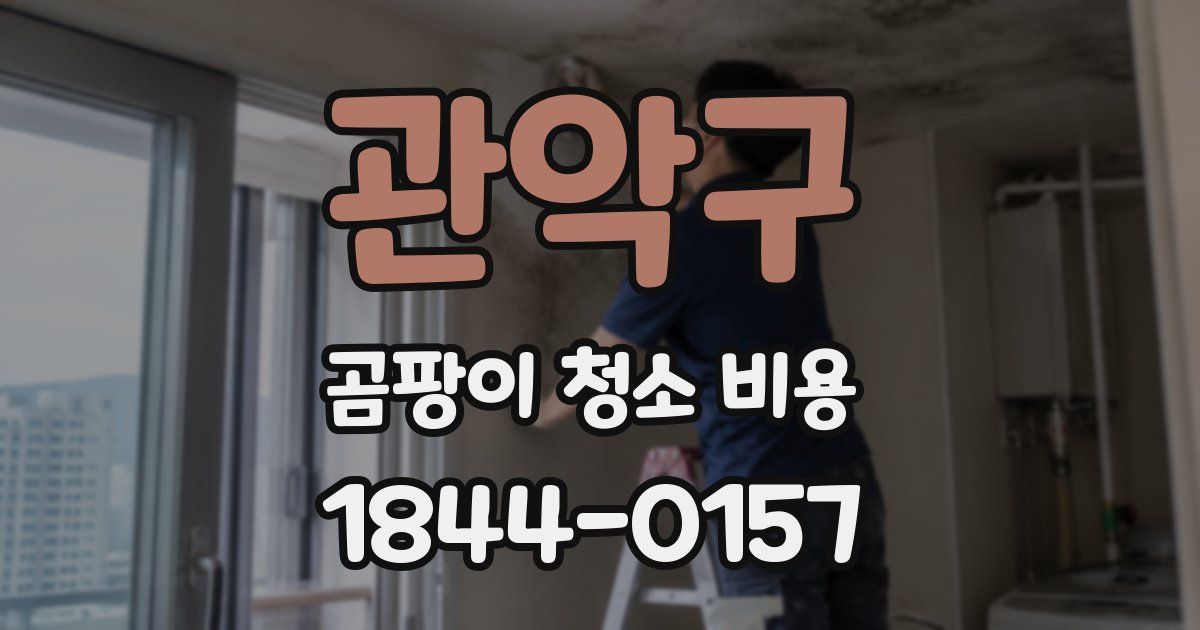 관악구 곰팡이 청소 비용