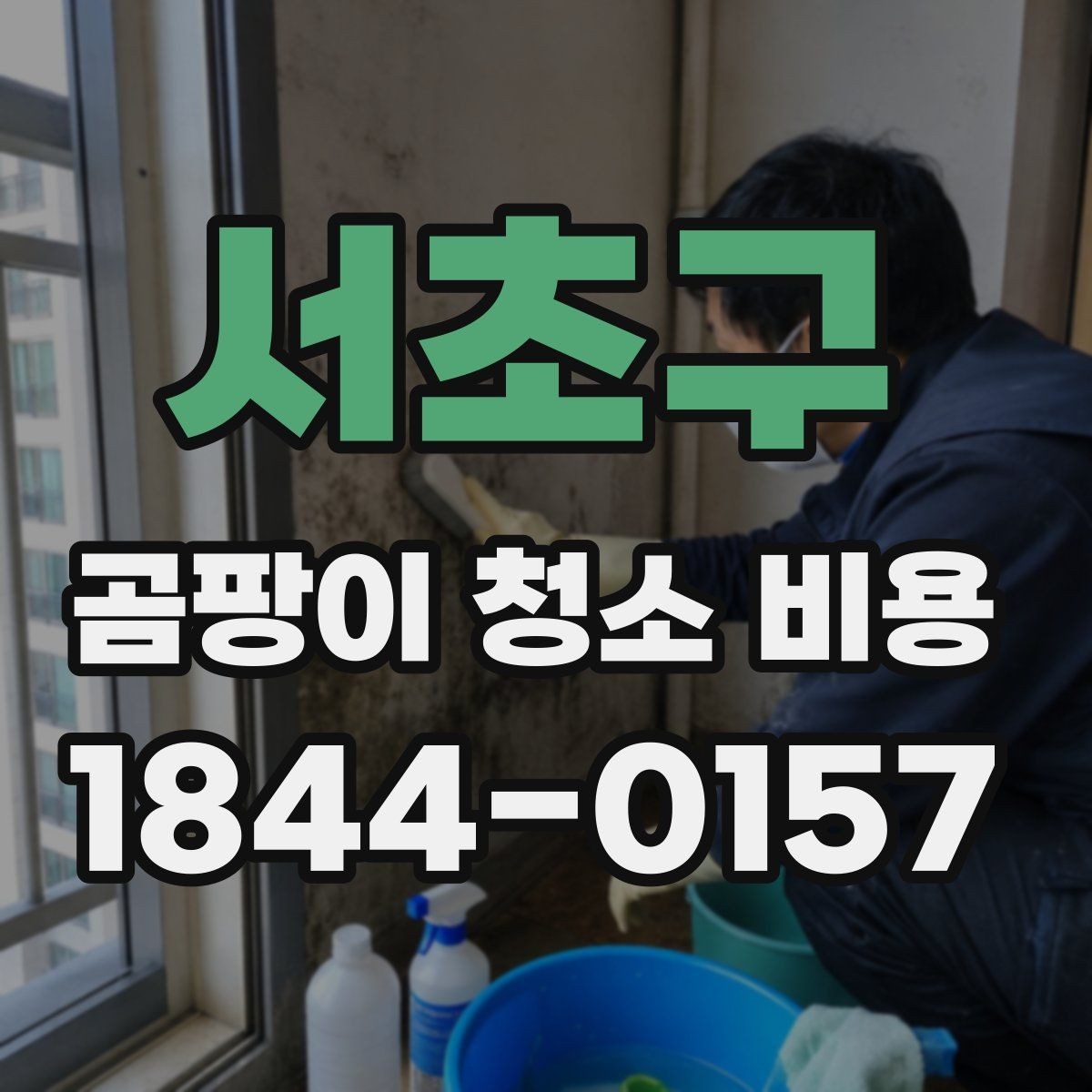 서초구 곰팡이 청소 비용 확인 전 알아야 할 기본 사항