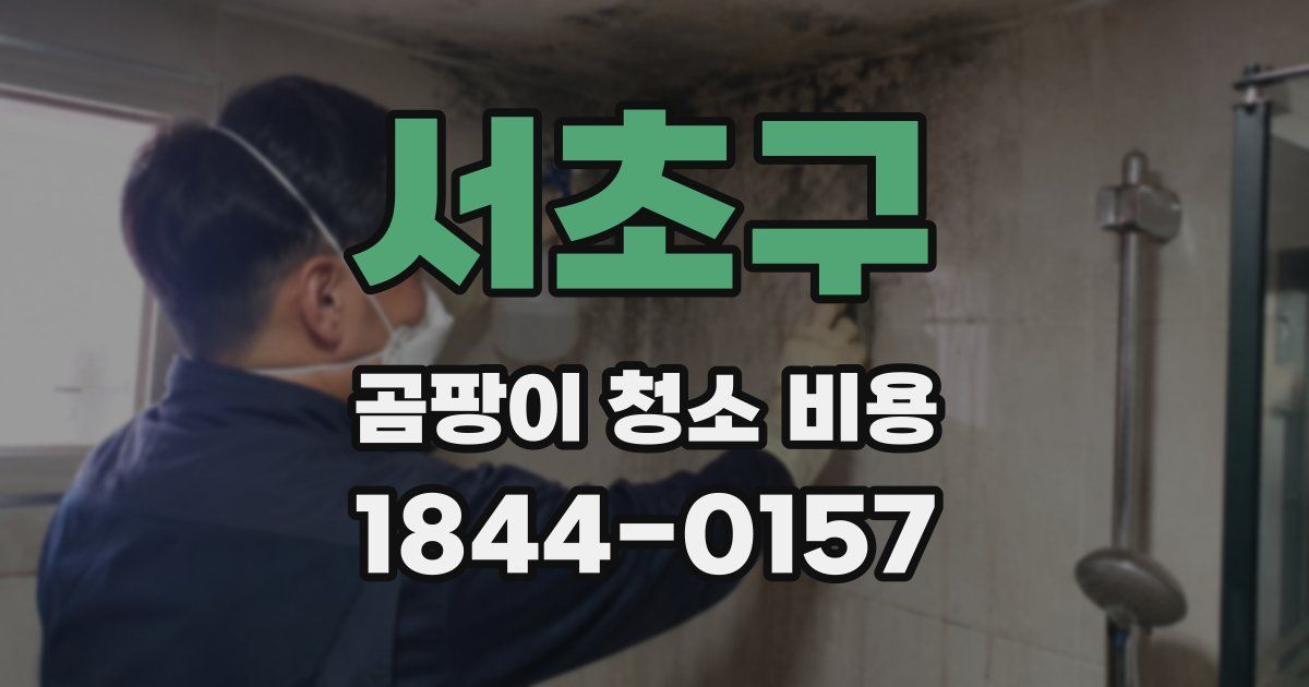 서초구 곰팡이 청소 비용