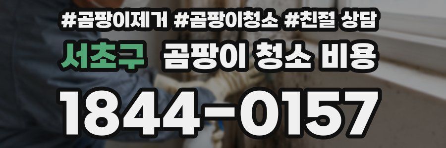 서초구 곰팡이 청소 비용
