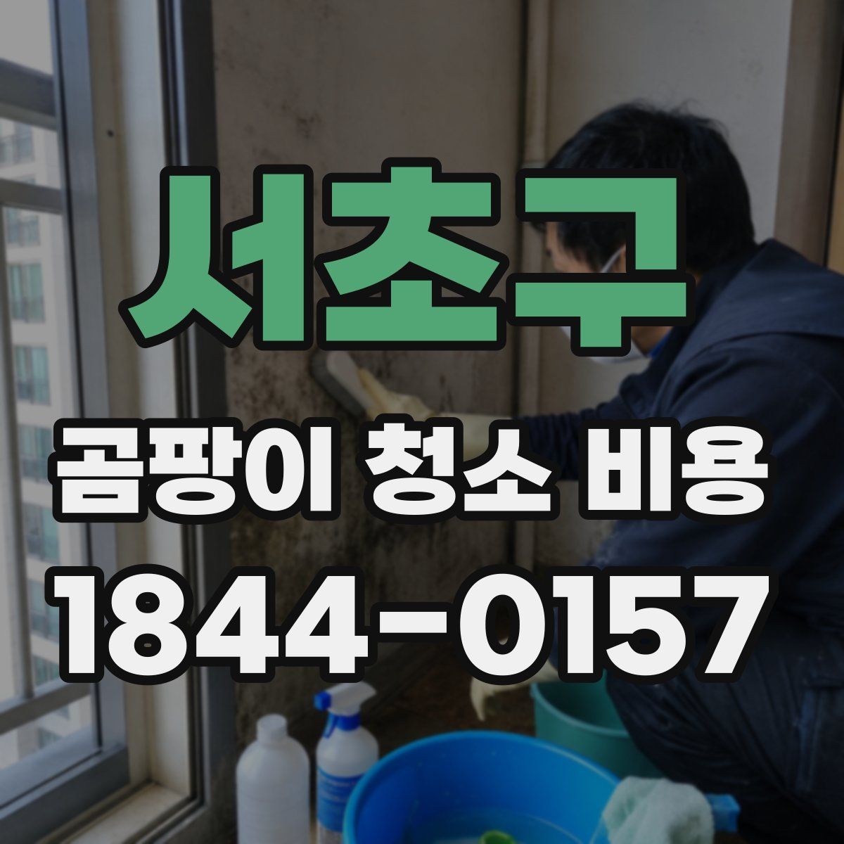 서초구 곰팡이 청소 비용