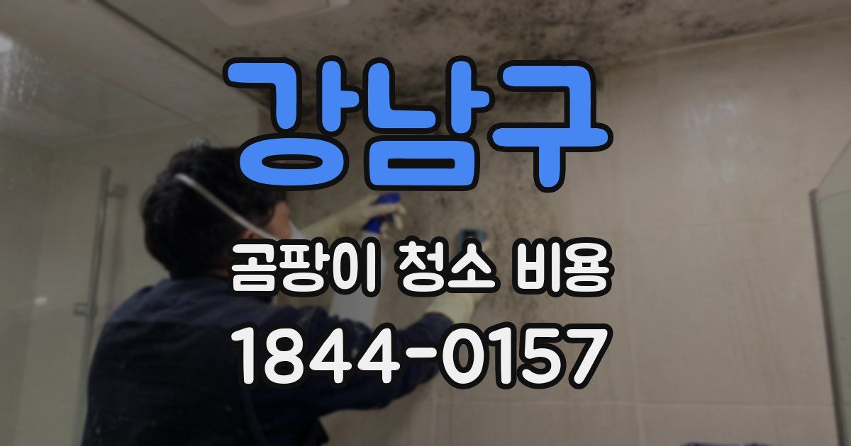강남구 곰팡이 청소 비용