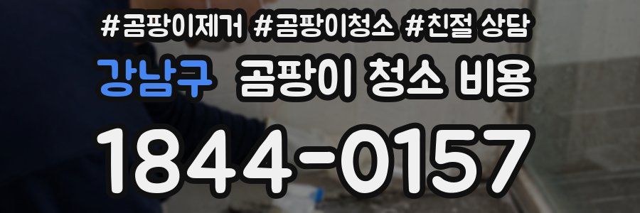 강남구 곰팡이 청소 비용