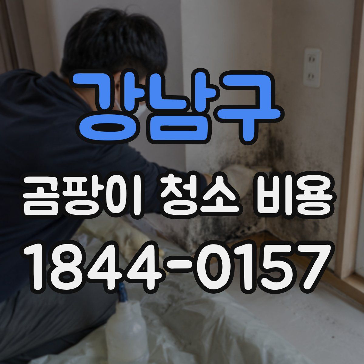 강남구 곰팡이 청소 비용