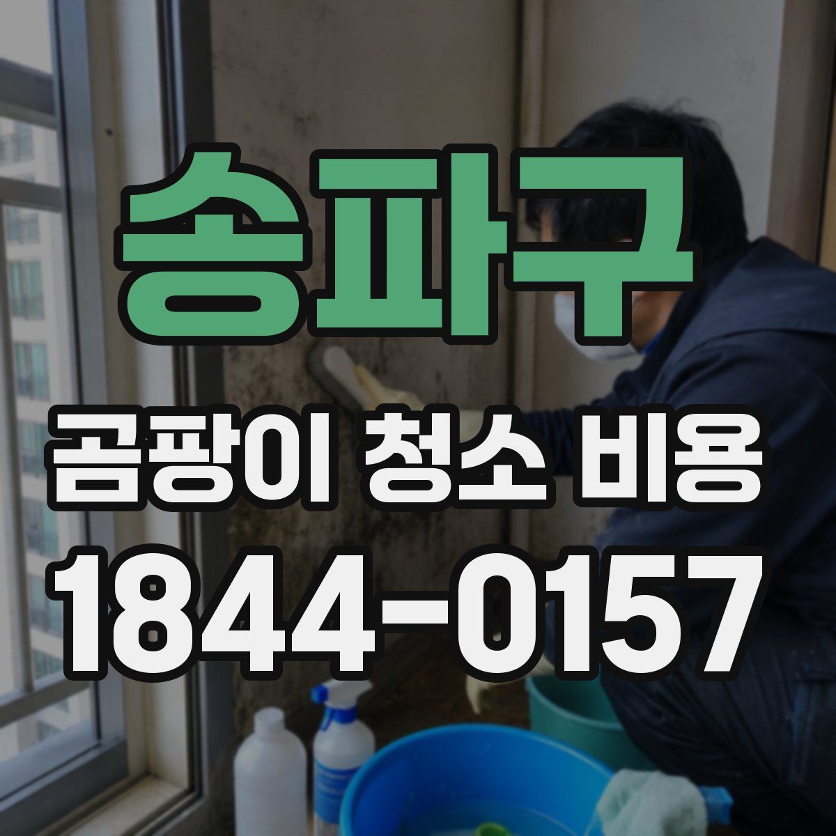 송파구 곰팡이 청소 비용