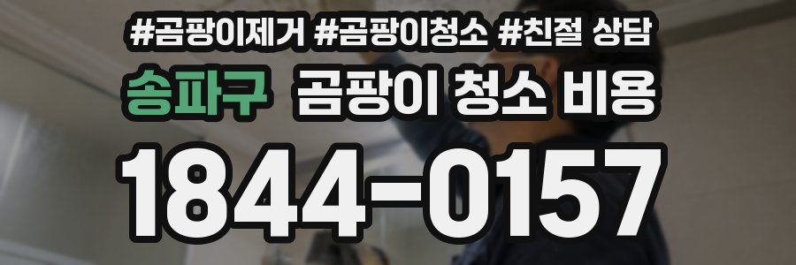 송파구 곰팡이 청소 비용