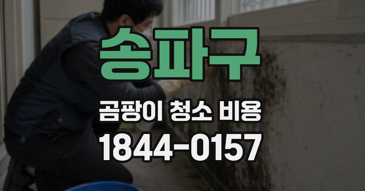 송파구 곰팡이 청소 비용