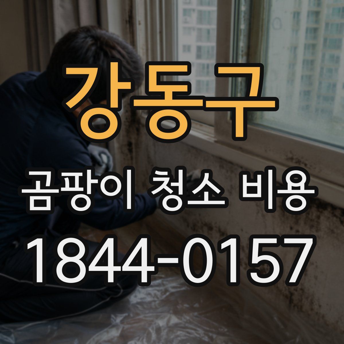 강동구 곰팡이 청소 비용