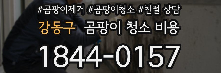 강동구 곰팡이 청소 비용