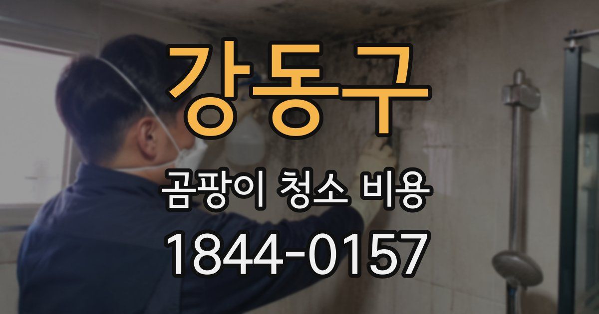 강동구 곰팡이 청소 비용