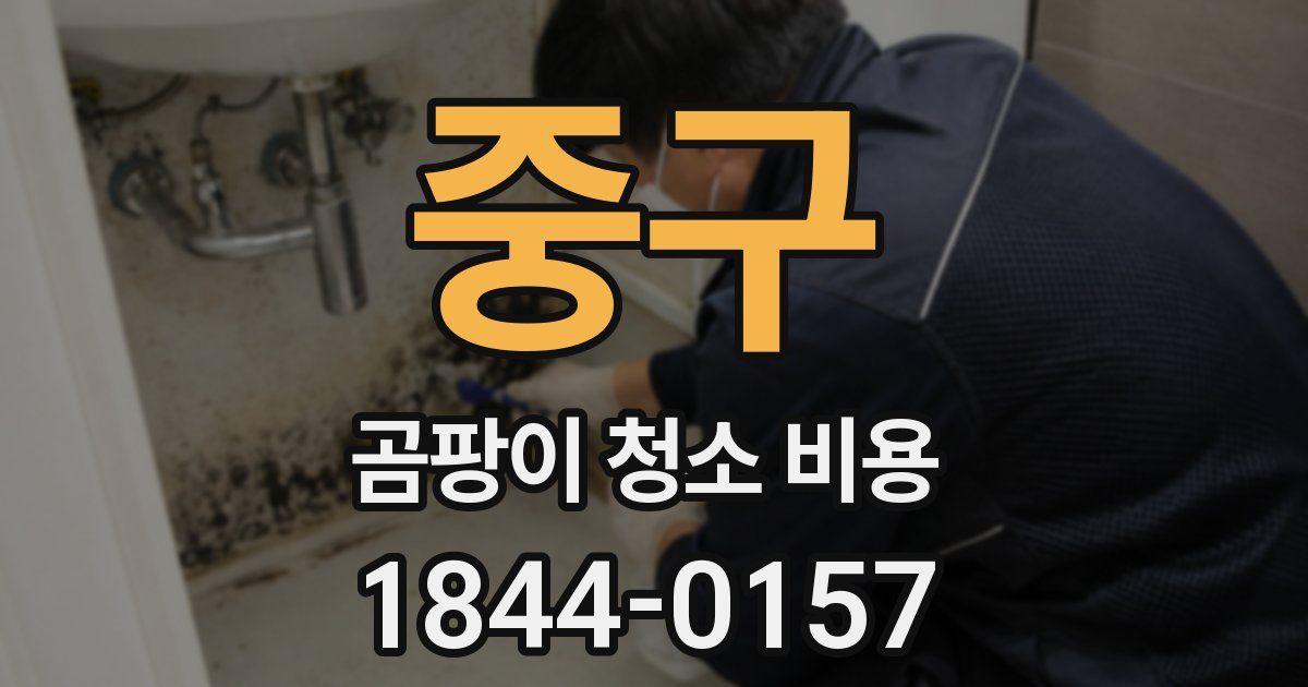 중구 곰팡이 청소 비용