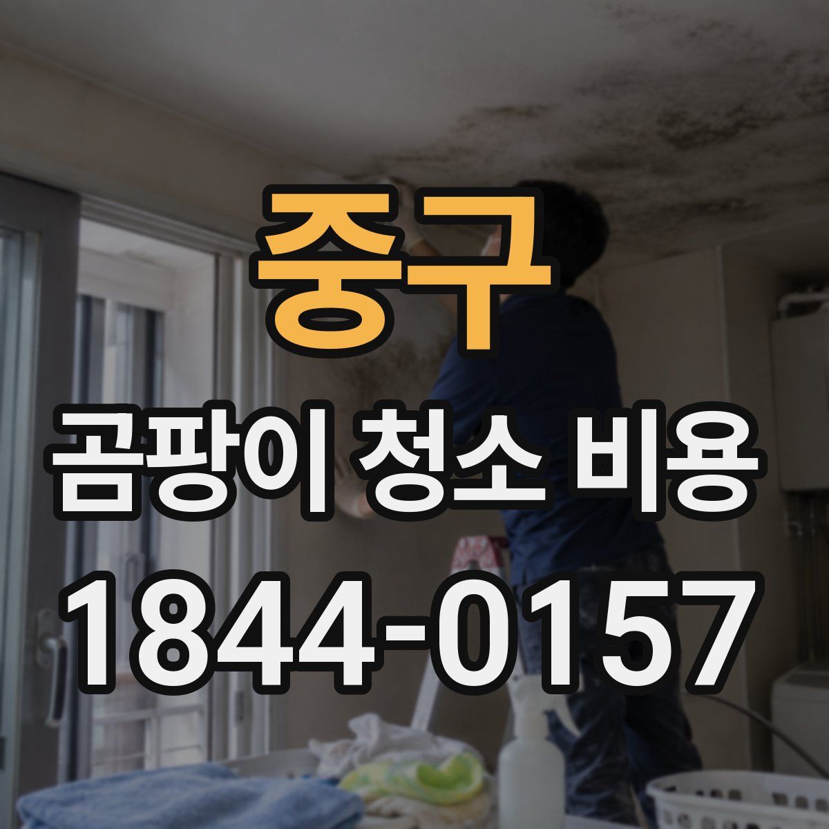 중구 곰팡이 청소 비용