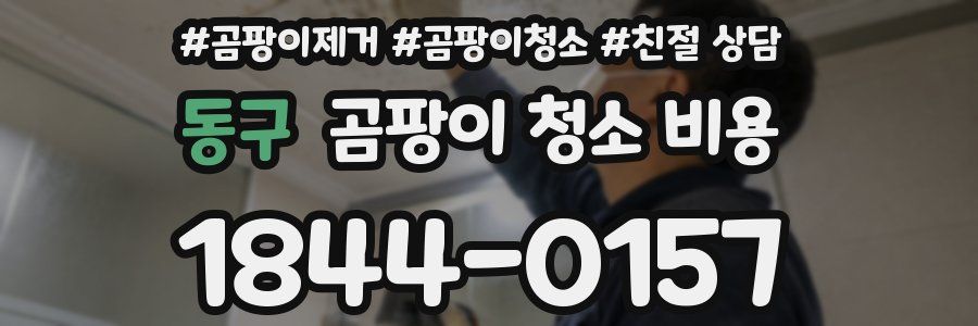 동구 곰팡이 청소 비용