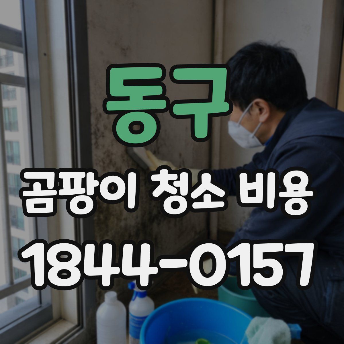 동구 곰팡이 청소 비용