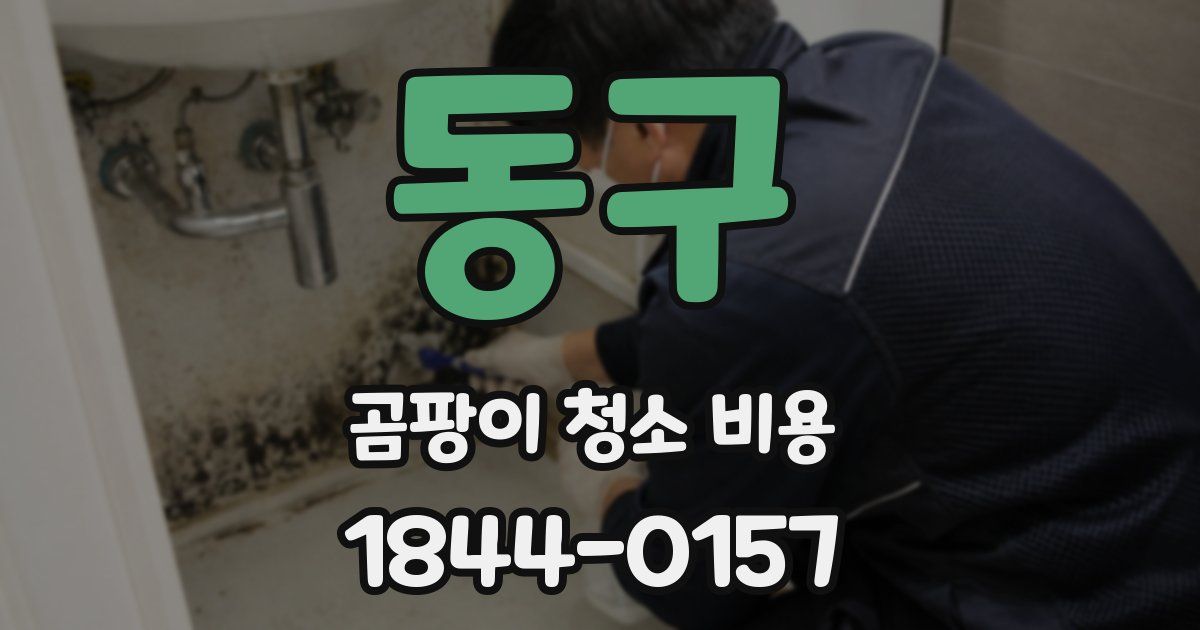 동구 곰팡이 청소 비용