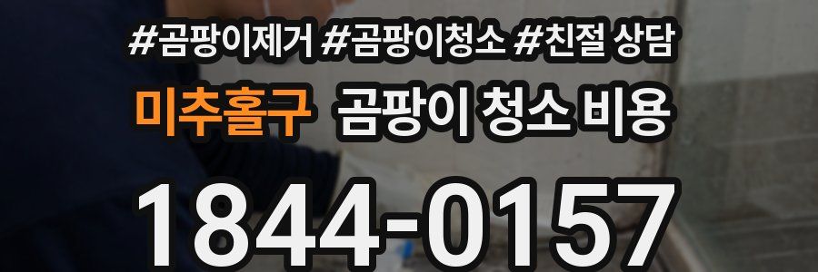 미추홀구 곰팡이 청소 비용