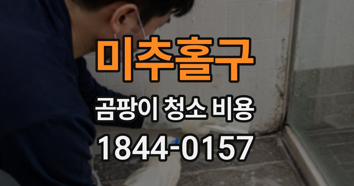 미추홀구 곰팡이 청소 비용