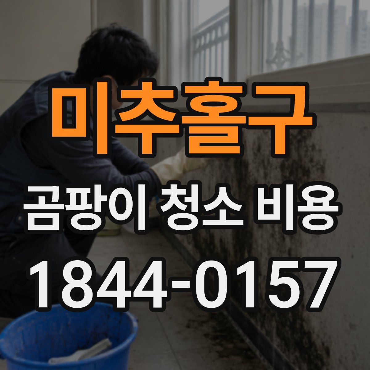 미추홀구 곰팡이 청소 비용