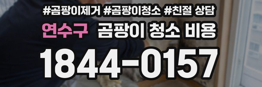 연수구 곰팡이 청소 비용
